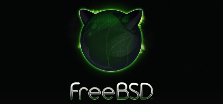 FreeBSD Web Server
